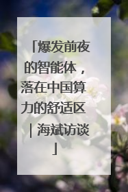 爆发前夜的智能体，落在中国算力的舒适区｜海斌访谈