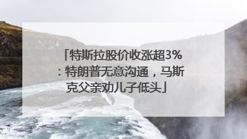 特斯拉股价收涨超3%：特朗普无意沟通，马斯克父亲劝儿子低头