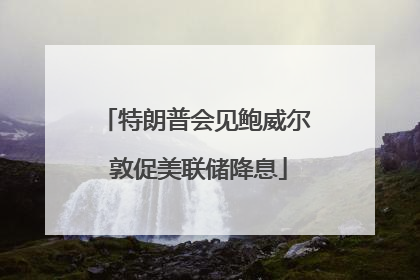 特朗普会见鲍威尔 敦促美联储降息