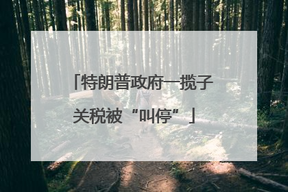 特朗普政府一揽子关税被“叫停”