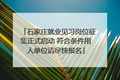石家庄就业见习岗位征集正式启动 符合条件用人单位请尽快报名