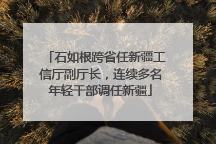 石如根跨省任新疆工信厅副厅长，连续多名年轻干部调任新疆