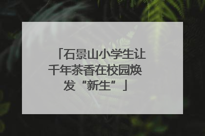 石景山小学生让千年茶香在校园焕发“新生”