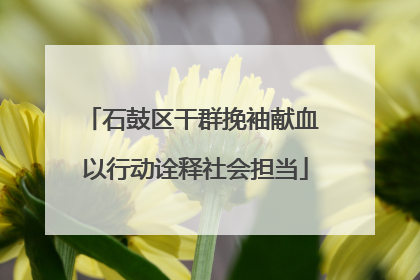 石鼓区干群挽袖献血 以行动诠释社会担当