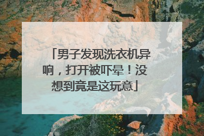男子发现洗衣机异响，打开被吓晕！没想到竟是这玩意