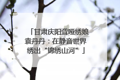 甘肃庆阳聋哑绣娘袁丹丹：在静音世界绣出“锦绣山河”