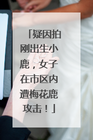 疑因拍刚出生小鹿，女子在市区内遭梅花鹿攻击！