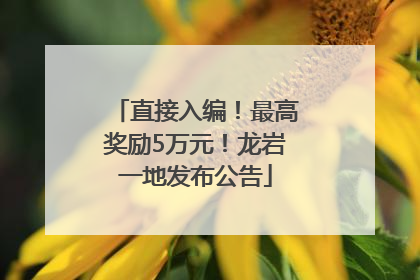 直接入编！最高奖励5万元！龙岩一地发布公告