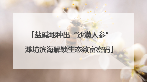 盐碱地种出“沙漠人参” 潍坊滨海解锁生态致富密码