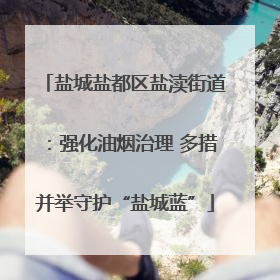 盐城盐都区盐渎街道：强化油烟治理 多措并举守护“盐城蓝”