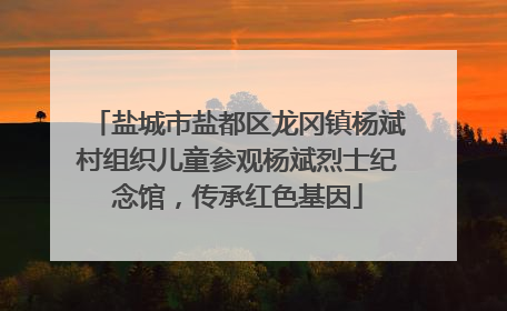 盐城市盐都区龙冈镇杨斌村组织儿童参观杨斌烈士纪念馆，传承红色基因
