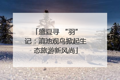 盛夏寻 “羽” 记：滇池观鸟掀起生态旅游新风尚
