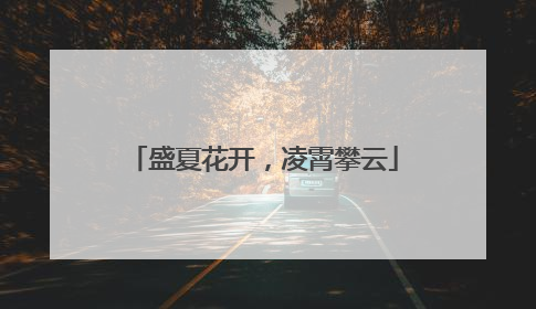 盛夏花开，凌霄攀云