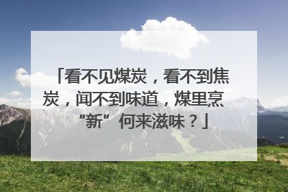看不见煤炭，看不到焦炭，闻不到味道，煤里烹“新”何来滋味？