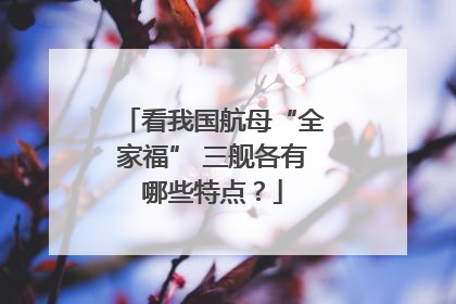 看我国航母“全家福” 三舰各有哪些特点？