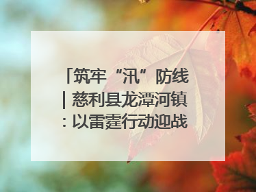 筑牢“汛”防线｜慈利县龙潭河镇：以雷霆行动迎战暴雨洪峰