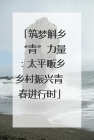 筑梦斛乡“青”力量：太平畈乡乡村振兴青春进行时