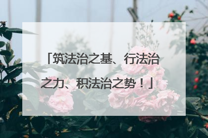 筑法治之基、行法治之力、积法治之势！