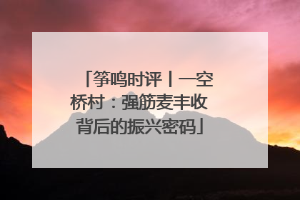 筝鸣时评丨一空桥村：强筋麦丰收背后的振兴密码