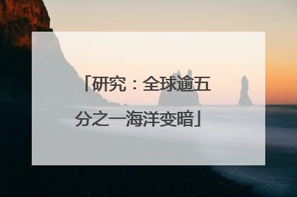 研究：全球逾五分之一海洋变暗