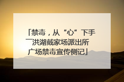 禁毒，从“心”下手――洪湖戴家场派出所广场禁毒宣传侧记