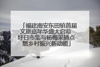 福建南安东田镇首届文旅嘉年华盛大启幕 圩日市集与杨梅采摘点燃乡村振兴新动能