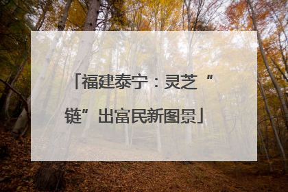 福建泰宁：灵芝“链”出富民新图景