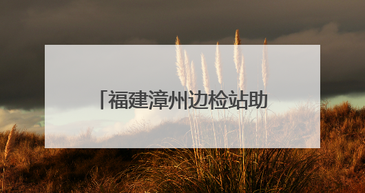 福建漳州边检站助力台轮入漳维修