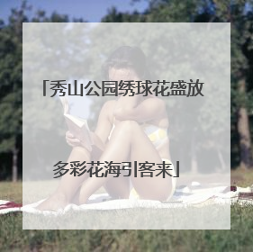 秀山公园绣球花盛放 多彩花海引客来