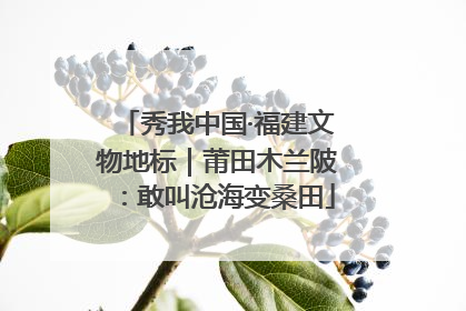 秀我中国·福建文物地标｜莆田木兰陂：敢叫沧海变桑田