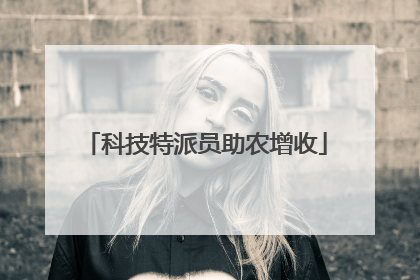 科技特派员助农增收