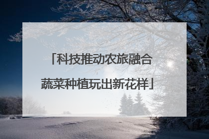 科技推动农旅融合 蔬菜种植玩出新花样