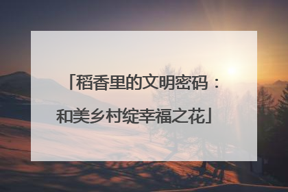 稻香里的文明密码：和美乡村绽幸福之花