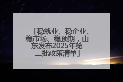 稳就业、稳企业、稳市场、稳预期，山东发布2025年第二批政策清单