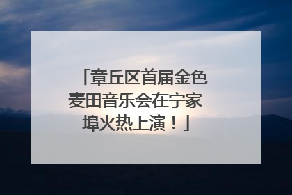 章丘区首届金色麦田音乐会在宁家埠火热上演！