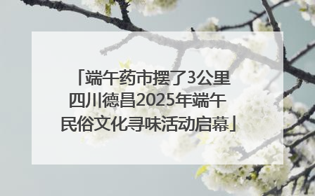 端午药市摆了3公里 四川德昌2025年端午民俗文化寻味活动启幕