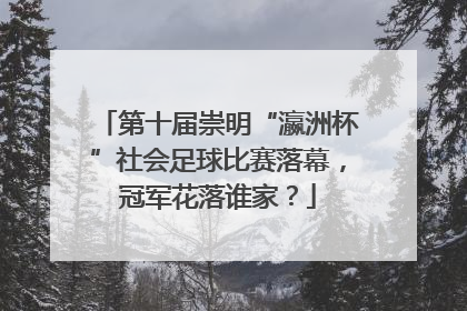 第十届崇明“瀛洲杯”社会足球比赛落幕，冠军花落谁家？