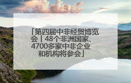 第四届中非经贸博览会丨48个非洲国家、4700多家中非企业和机构将参会