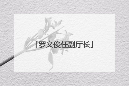 罗文俊任副厅长