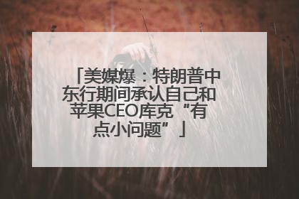 美媒爆：特朗普中东行期间承认自己和苹果CEO库克“有点小问题”