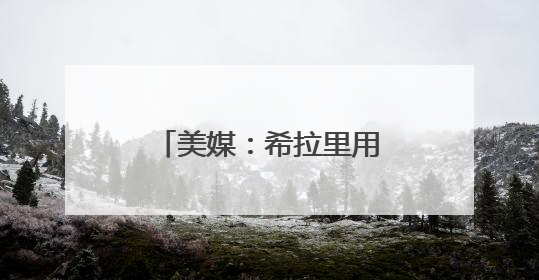 美媒：希拉里用挤满街头的示威人群画面作对比，嘲讽特朗普“低能量”阅兵式观众少