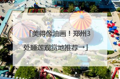 美得像油画！郑州3处睡莲观赏地推荐→