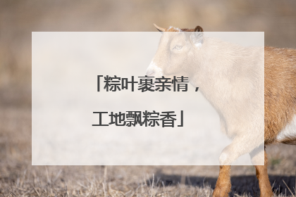 粽叶裹亲情，工地飘粽香