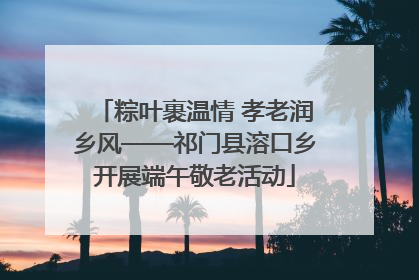 粽叶裹温情 孝老润乡风——祁门县溶口乡开展端午敬老活动