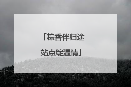 粽香伴归途 站点绽温情