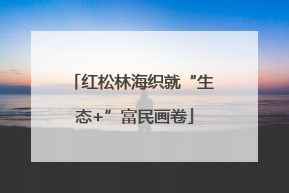 红松林海织就“生态+”富民画卷