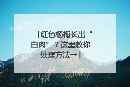 红色杨梅长出“白肉”？这里教你处理方法→