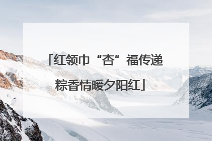 红领巾“杏”福传递 粽香情暖夕阳红