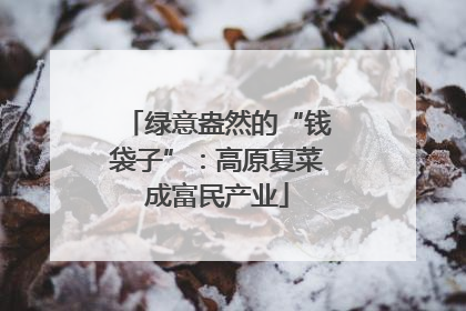 绿意盎然的“钱袋子”：高原夏菜成富民产业