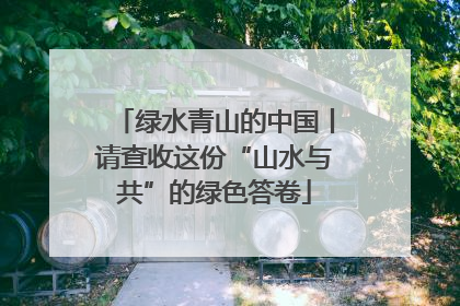 绿水青山的中国丨请查收这份“山水与共”的绿色答卷